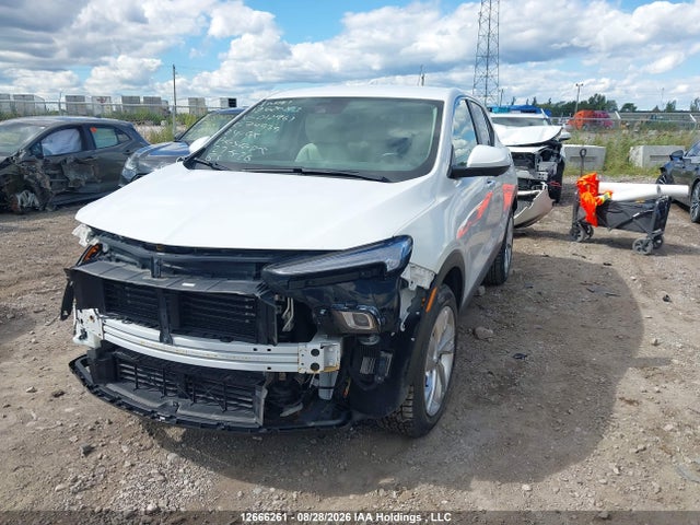 12666261 :رقم المزاد ، KL4AMBSL5RB012961 vin ، 2024 Buick Encore Gx مزاد بيع