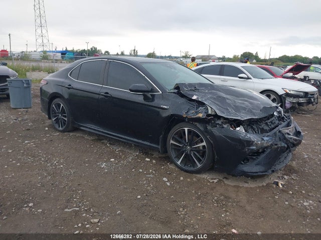 Toyota Camry Xle/se 2021 4T1B21HK0MU016191 головне зображення