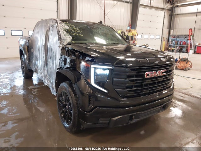 Продажа на аукционе авто 2024 Gmc Sierra 1500 Pro, vin: 1GTUUAED8RZ391804, номер лота: 12666306