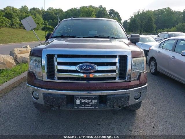 Aukcja sprzedaży 2010 Ford F150, vin: 1FTNF1E85AKE56039, numer aukcji: 12666315