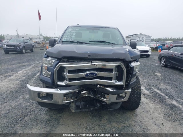2016 Ford F-150 Xlt მანქანა იყიდება აუქციონზე, vin: 1FTMF1EF4GKD61099, აუქციონის ნომერი: 12666352