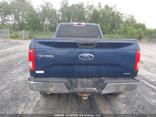 2016 Ford F-150 Xlt მანქანა იყიდება აუქციონზე, vin: 1FTMF1EF4GKD61099, აუქციონის ნომერი: 12666352