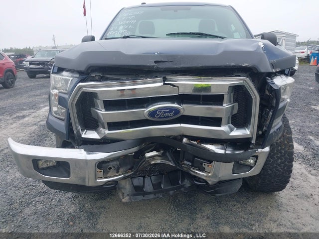 2016 Ford F-150 Xlt მანქანა იყიდება აუქციონზე, vin: 1FTMF1EF4GKD61099, აუქციონის ნომერი: 12666352