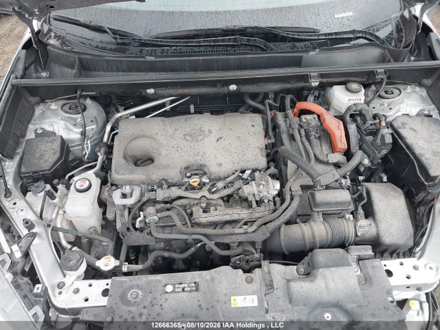 12666365 :رقم المزاد ، 2T34WRFV1RW251996 vin ، 2024 Toyota Rav4 مزاد بيع