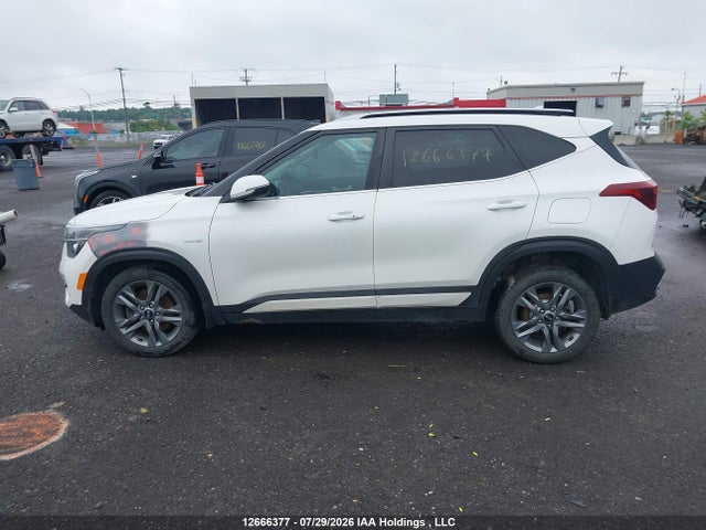 KIA SELTOS EX 2021 KNDEUCAA9M7163908 Image 13