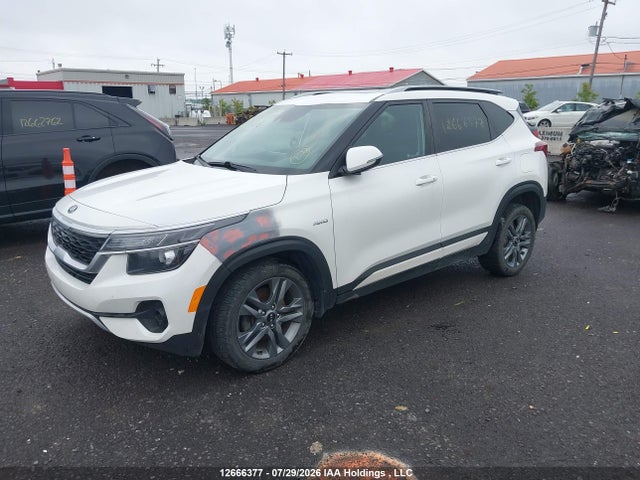 KIA SELTOS EX 2021 KNDEUCAA9M7163908 Image 2