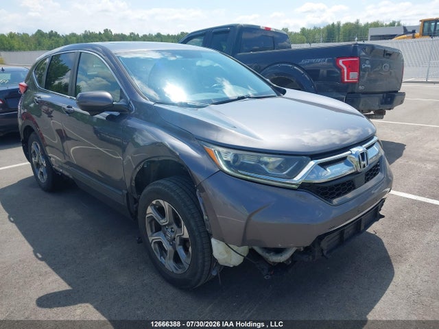 12666388 :رقم المزاد ، 2HKRW2H88KH139665 vin ، 2019 Honda Cr-v Exl مزاد بيع