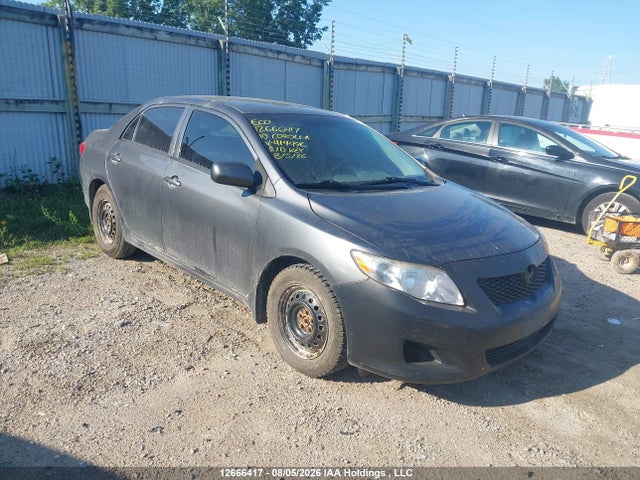 2010 Toyota Corolla Ce მანქანა იყიდება აუქციონზე, vin: 2T1BU4EE8AC414496, აუქციონის ნომერი: 12666417