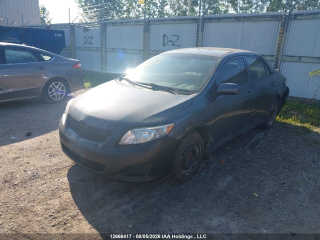 2010 Toyota Corolla Ce მანქანა იყიდება აუქციონზე, vin: 2T1BU4EE8AC414496, აუქციონის ნომერი: 12666417