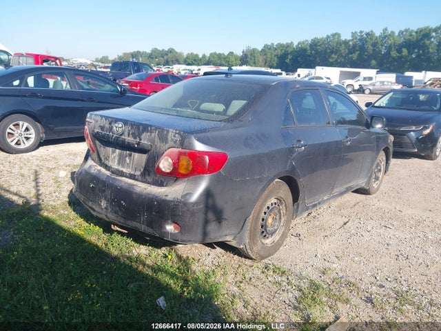 2010 Toyota Corolla Ce მანქანა იყიდება აუქციონზე, vin: 2T1BU4EE8AC414496, აუქციონის ნომერი: 12666417