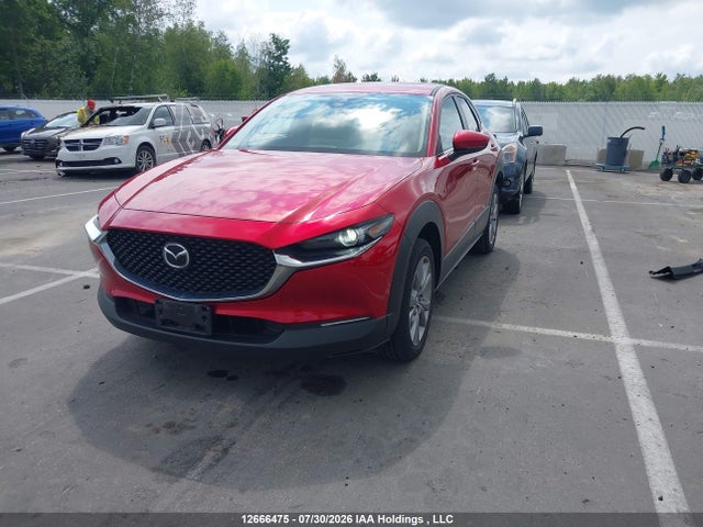 Продаж на аукціоні авто 2023 Mazda Cx-30 Preferred, vin: 3MVDMBCM8PM531937, номер лоту: 12666475