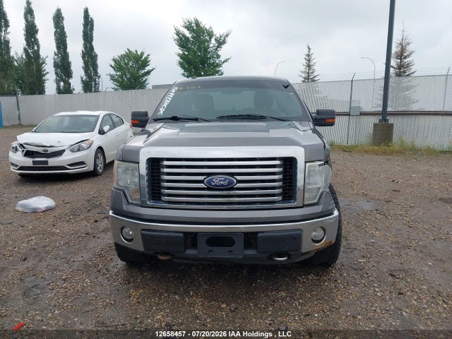 Продажа на аукционе авто 2010 Ford F-150 Stx/xl/xlt, vin: 1FTEX1E80AFC73699, номер лота: 12658457