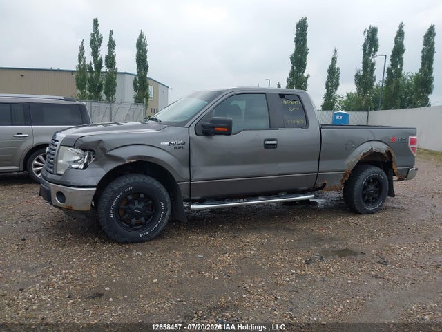Продажа на аукционе авто 2010 Ford F-150 Stx/xl/xlt, vin: 1FTEX1E80AFC73699, номер лота: 12658457