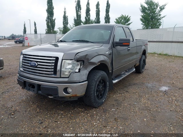 Продажа на аукционе авто 2010 Ford F-150 Stx/xl/xlt, vin: 1FTEX1E80AFC73699, номер лота: 12658457
