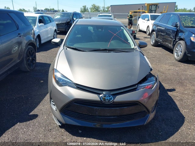12666519 :رقم المزاد ، 2T1BURHE0KC240949 vin ، 2019 Toyota Corolla L/le/xle/se/xse مزاد بيع