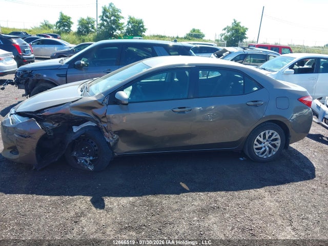 12666519 :رقم المزاد ، 2T1BURHE0KC240949 vin ، 2019 Toyota Corolla L/le/xle/se/xse مزاد بيع