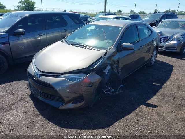12666519 :رقم المزاد ، 2T1BURHE0KC240949 vin ، 2019 Toyota Corolla L/le/xle/se/xse مزاد بيع