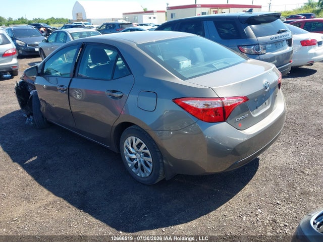 12666519 :رقم المزاد ، 2T1BURHE0KC240949 vin ، 2019 Toyota Corolla L/le/xle/se/xse مزاد بيع