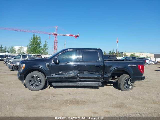 Ford F-150 Xlt 2023 1FTEW1EP3PFC86210 Image 13