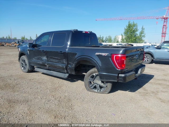 Ford F-150 Xlt 2023 1FTEW1EP3PFC86210 Image 3
