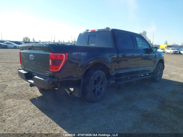 Ford F-150 Xlt 2023 1FTEW1EP3PFC86210 Image 4