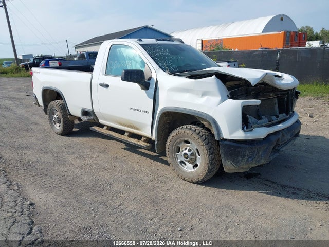 2024 Chevrolet Silverado K2500 Heavy Duty მანქანა იყიდება აუქციონზე, vin: 1GC3YLE7XRF350713, აუქციონის ნომერი: 12666558