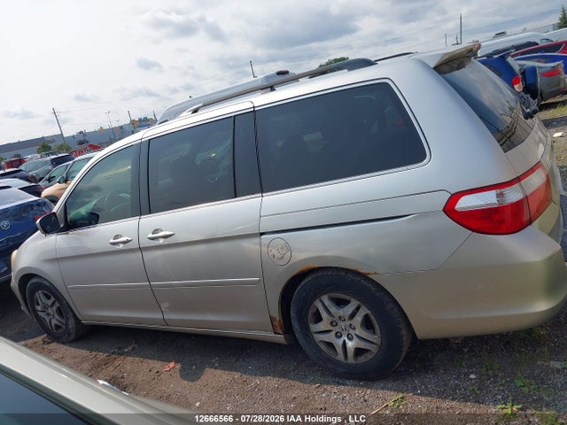 Продаж на аукціоні авто 2007 Honda Odyssey Exl, vin: 5FNRL38677B422402, номер лоту: 12666566