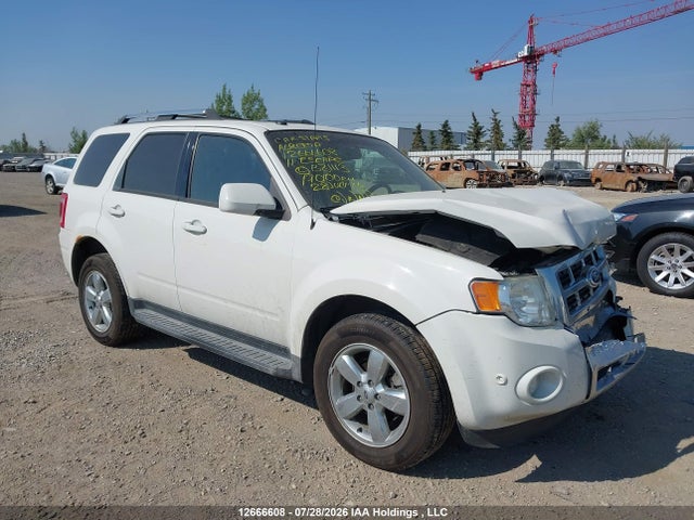 Auction sale of the 2011 Ford Escape Limited, vin: 1FMCU9EG7BKB81113, lot number: 12666608