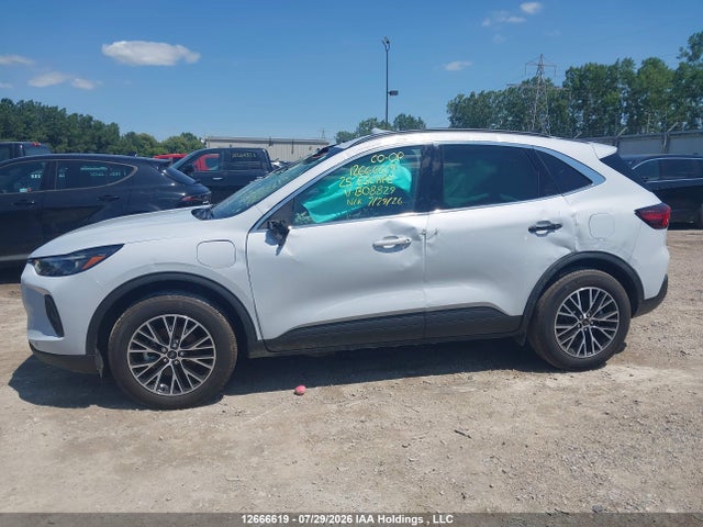 Продажа на аукционе авто 2025 Ford Escape Phev, vin: 1FMCU0E1XSUB08829, номер лота: 12666619