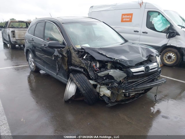 Auction sale of the 2008 Honda Cr-v Ex-l, vin: 5J6RE48758L805711, lot number: 12666640