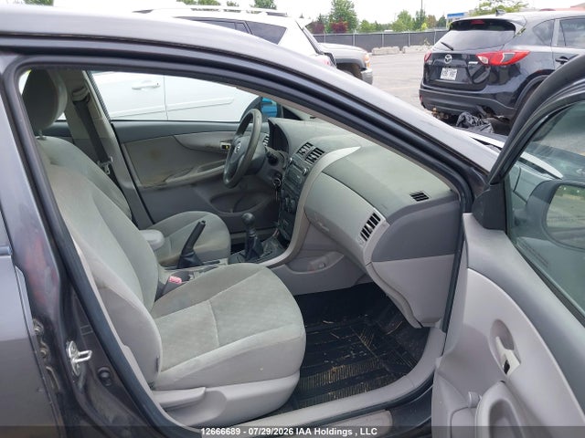 Продаж на аукціоні авто 2010 Toyota Corolla, vin: 2T1BU4EE4AC415449, номер лоту: 12666689