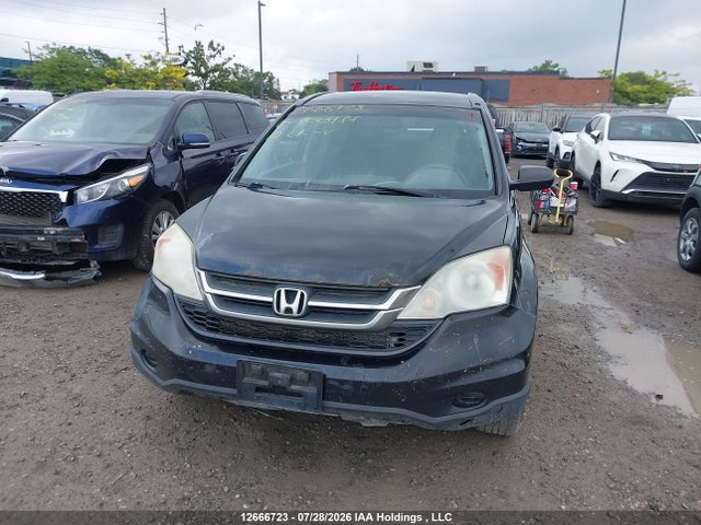2010 Honda Cr-v მანქანა იყიდება აუქციონზე, vin: 5J6RE3H30AL800977, აუქციონის ნომერი: 12666723