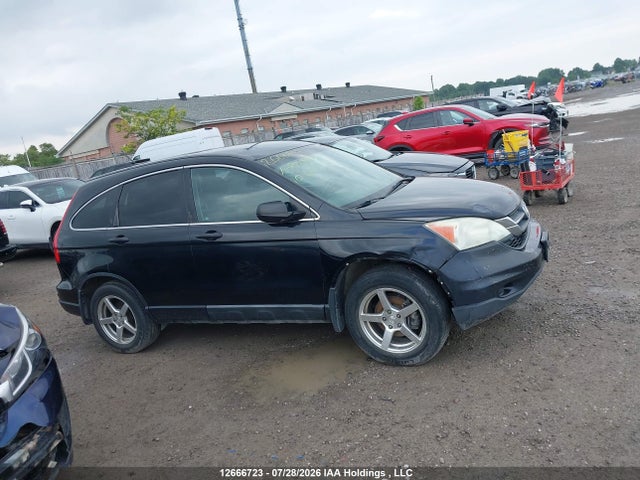 2010 Honda Cr-v მანქანა იყიდება აუქციონზე, vin: 5J6RE3H30AL800977, აუქციონის ნომერი: 12666723