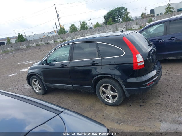 2010 Honda Cr-v მანქანა იყიდება აუქციონზე, vin: 5J6RE3H30AL800977, აუქციონის ნომერი: 12666723