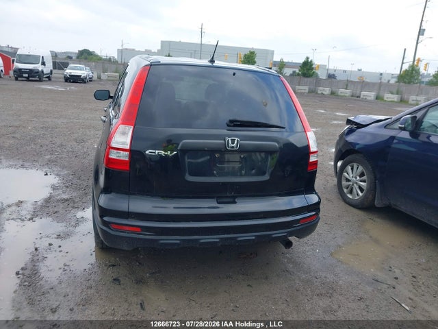 2010 Honda Cr-v მანქანა იყიდება აუქციონზე, vin: 5J6RE3H30AL800977, აუქციონის ნომერი: 12666723
