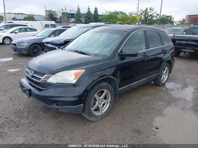 2010 Honda Cr-v მანქანა იყიდება აუქციონზე, vin: 5J6RE3H30AL800977, აუქციონის ნომერი: 12666723