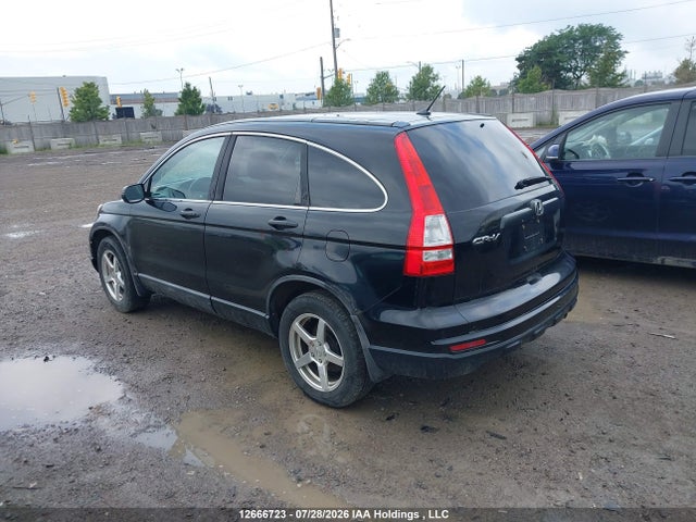 2010 Honda Cr-v მანქანა იყიდება აუქციონზე, vin: 5J6RE3H30AL800977, აუქციონის ნომერი: 12666723