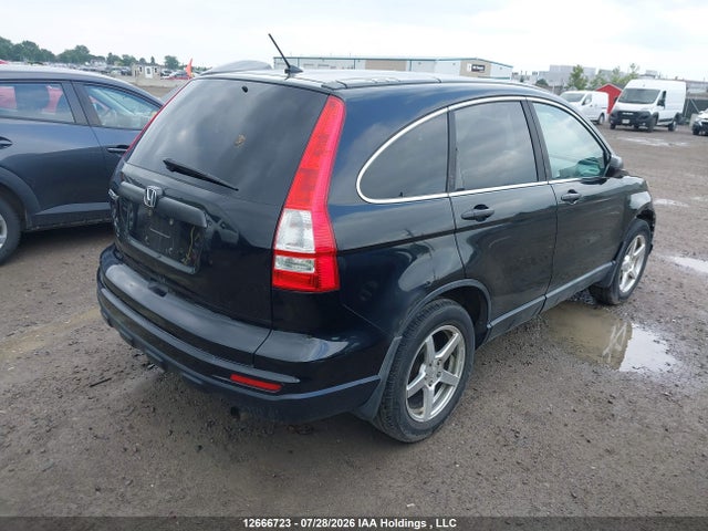 2010 Honda Cr-v მანქანა იყიდება აუქციონზე, vin: 5J6RE3H30AL800977, აუქციონის ნომერი: 12666723