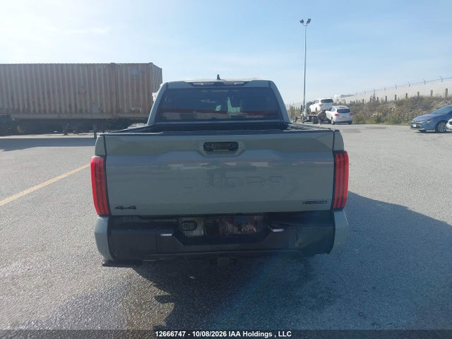 Auction sale of the 2026 Toyota Tundra Crewmax Limited/crewmax Platinum/crewmax 1794/crewmax Trd Pro, vin: 5TFWC5DB6TX129799, lot number: 12666747