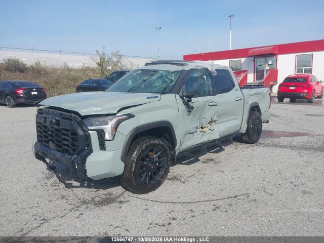 Auction sale of the 2026 Toyota Tundra Crewmax Limited/crewmax Platinum/crewmax 1794/crewmax Trd Pro, vin: 5TFWC5DB6TX129799, lot number: 12666747
