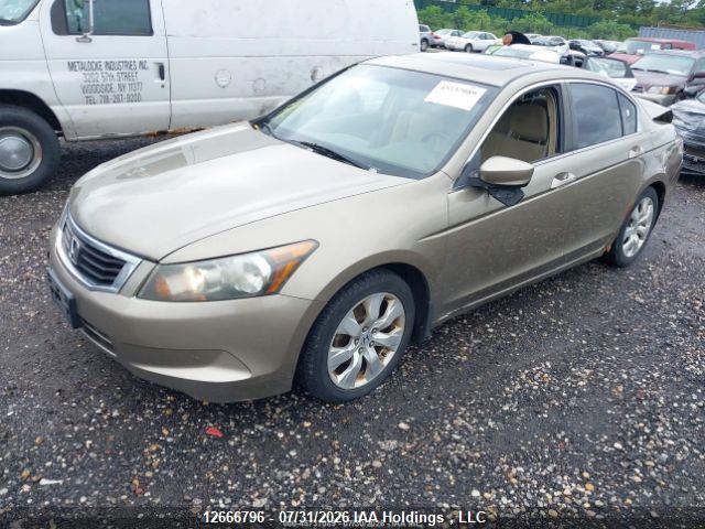 2008 Honda Accord Ex მანქანა იყიდება აუქციონზე, vin: 1HGCP26768A805548, აუქციონის ნომერი: 12666796