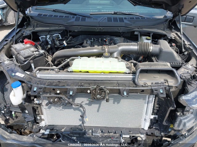 Продаж на аукціоні авто 2026 Ford F150, vin: 1FTFW5L8XTKE02351, номер лоту: 12666802