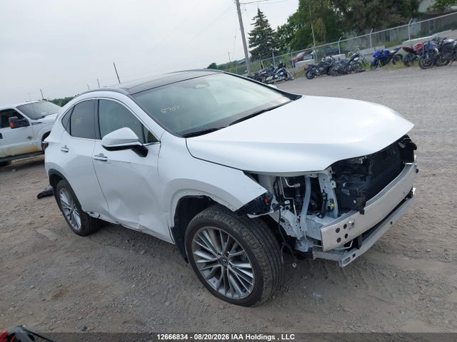 Auction sale of the 2024 Lexus Nx 350, vin: 2T2GGCEZ9RC049375, lot number: 12666834