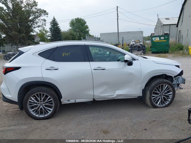 Продажа на аукционе авто 2024 Lexus Nx 350, vin: 2T2GGCEZ9RC049375, номер лота: 12666834