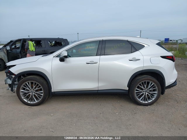 Продажа на аукционе авто 2024 Lexus Nx 350, vin: 2T2GGCEZ9RC049375, номер лота: 12666834