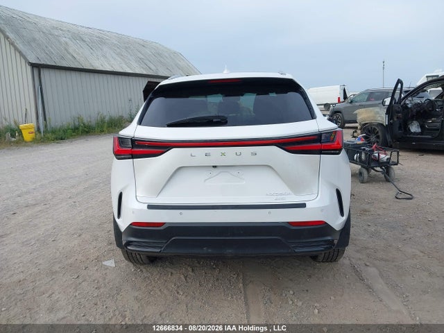 Продажа на аукционе авто 2024 Lexus Nx 350, vin: 2T2GGCEZ9RC049375, номер лота: 12666834