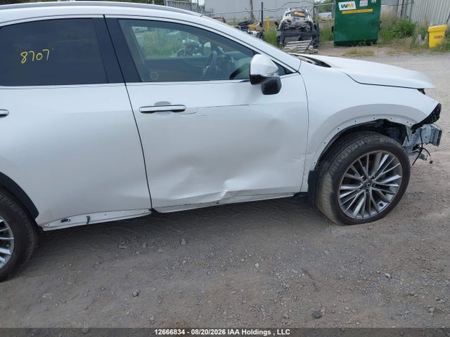 Продажа на аукционе авто 2024 Lexus Nx 350, vin: 2T2GGCEZ9RC049375, номер лота: 12666834