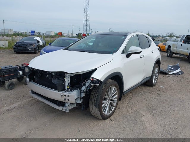 Продажа на аукционе авто 2024 Lexus Nx 350, vin: 2T2GGCEZ9RC049375, номер лота: 12666834