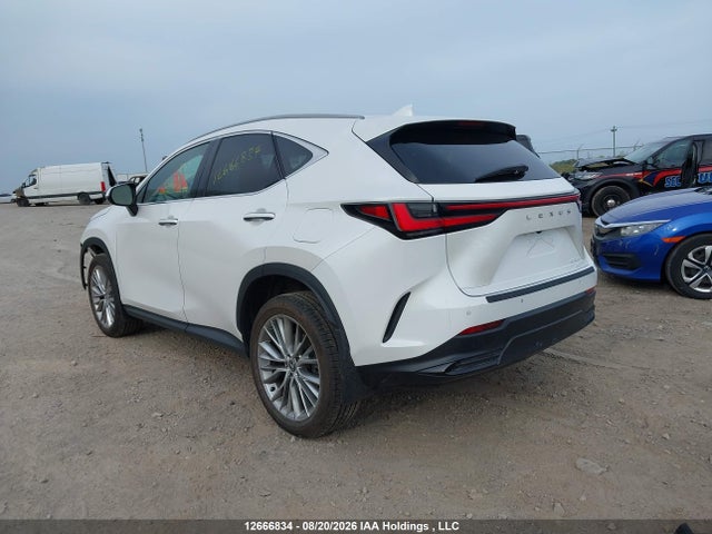 Продажа на аукционе авто 2024 Lexus Nx 350, vin: 2T2GGCEZ9RC049375, номер лота: 12666834