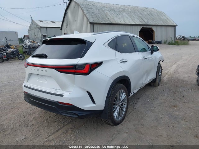 Продажа на аукционе авто 2024 Lexus Nx 350, vin: 2T2GGCEZ9RC049375, номер лота: 12666834